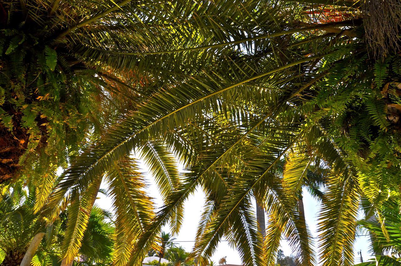 Hotel Twin Palms At Siesta Cayo Siesta Exterior foto